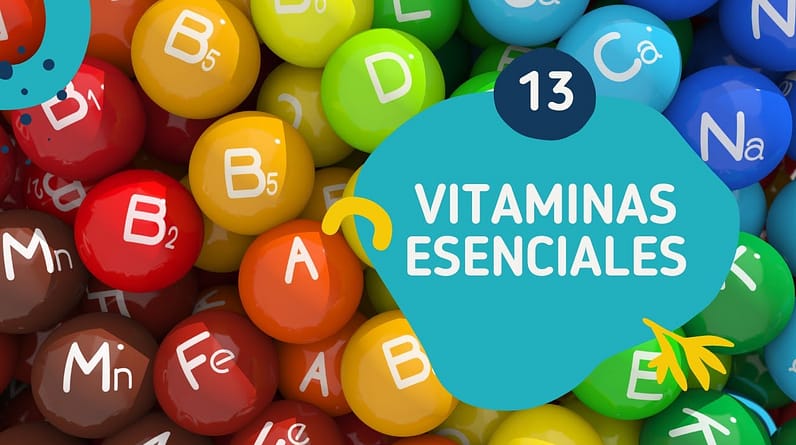 13 Vitaminas Esenciales/Vitaminas Que Debes Tomar a Diario